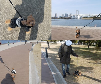 2012.1.28海浜公園.jpg