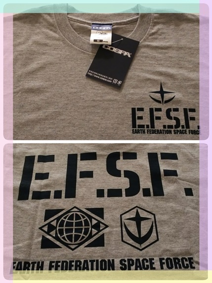 EFSF Tシャツ.jpg